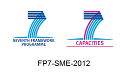 seventh-framework-logo